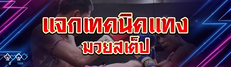 แจกเทคนิคแทงมวยสเต็ป