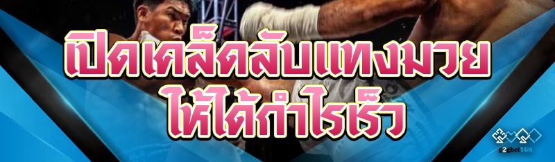 เปิดเคล็ดลับแทงมวย ให้ได้กำไรเร็ว